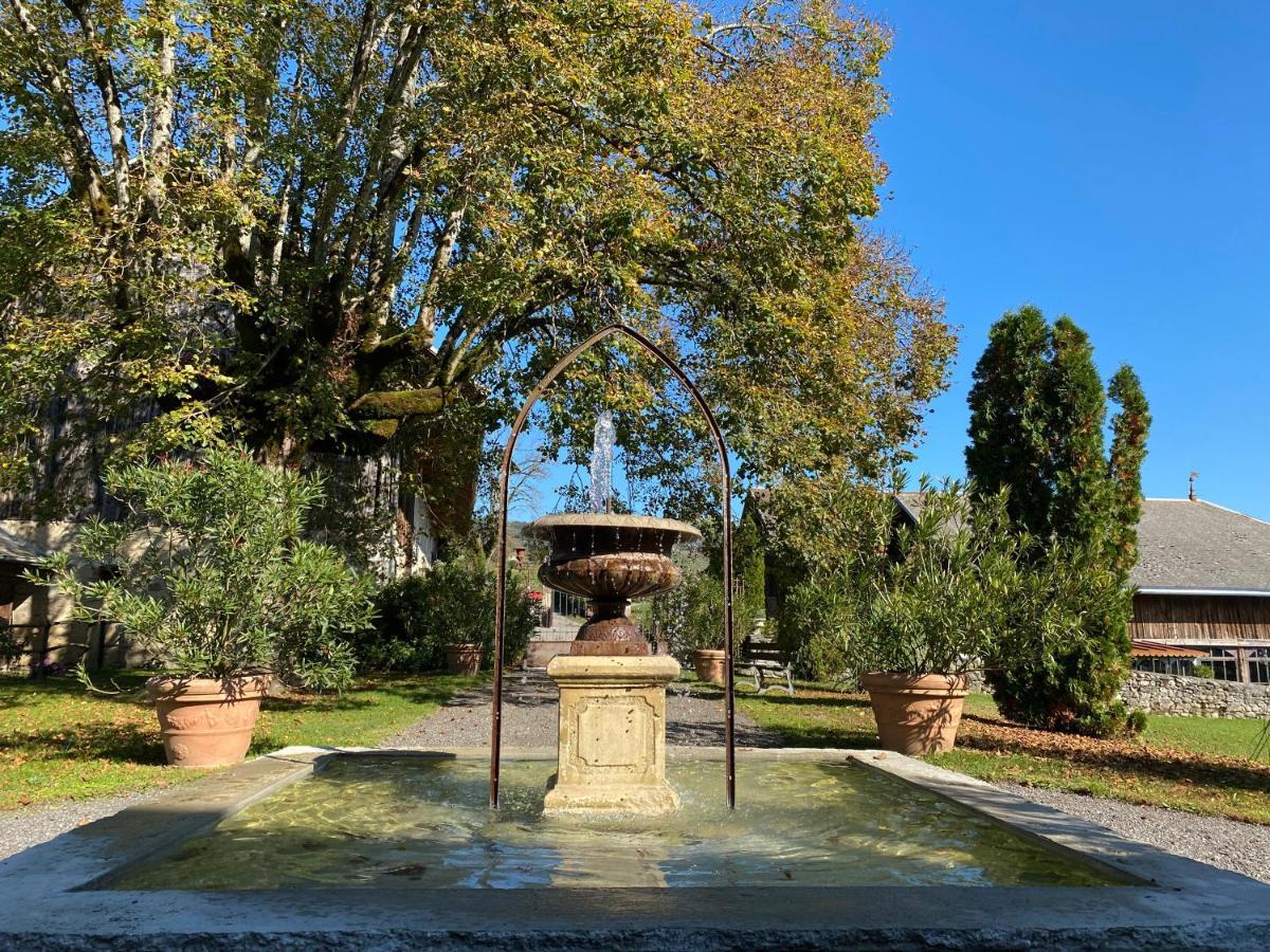 Chateau De Morgenex Vallières 外观 照片