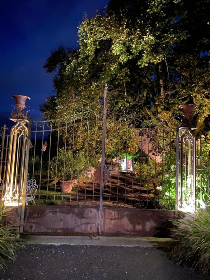 Chateau De Morgenex Vallières 外观 照片